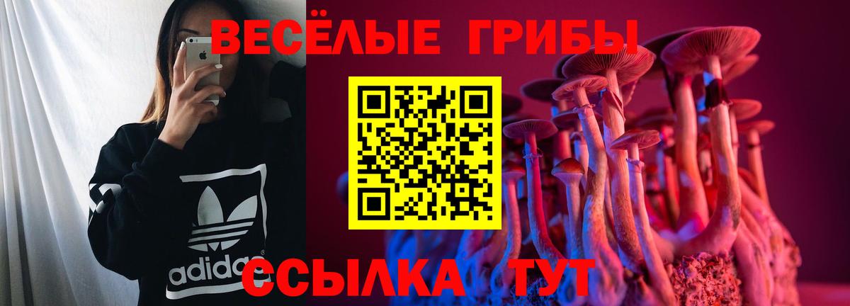 Псилоцибиновые грибы MAGIC MUSHROOMS  Вход с VPN  купить наркотик  Псилоцибиновые грибы Magic Shrooms  Абакан 